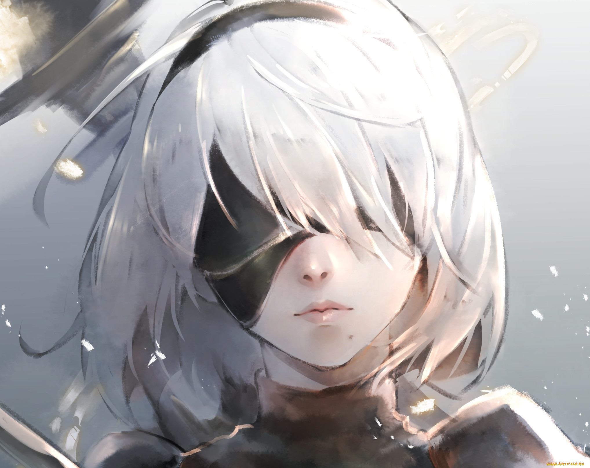  , nier,  automata, 